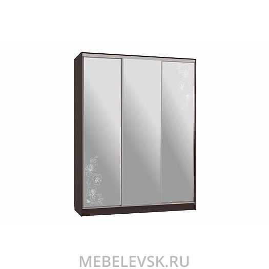 Шкаф-купе Бассо 4-600 токио