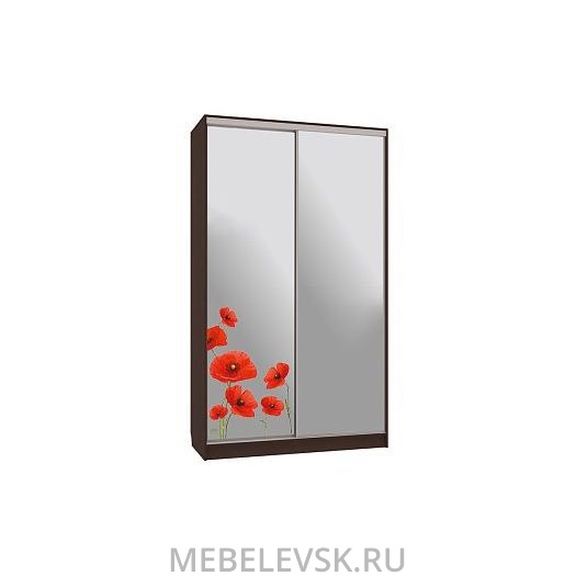 Шкаф-купе Рио 4-600 маки, (1200х600х2310)