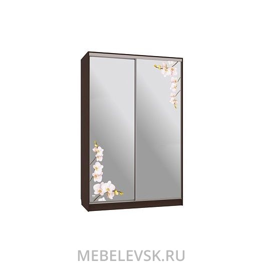 Шкаф-купе Гранд 4-600 орхидеи