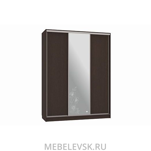 Шкаф-купе Бассо 1-600 токио