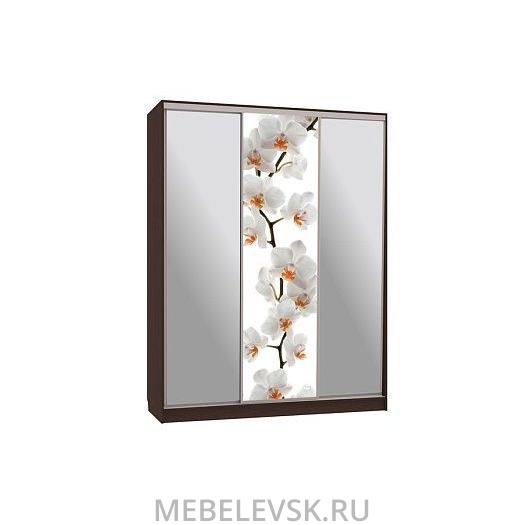 Шкаф-купе Бассо 9-600 83