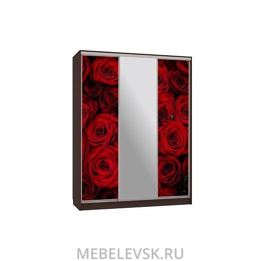 Шкаф-купе Бассо 10-600 89