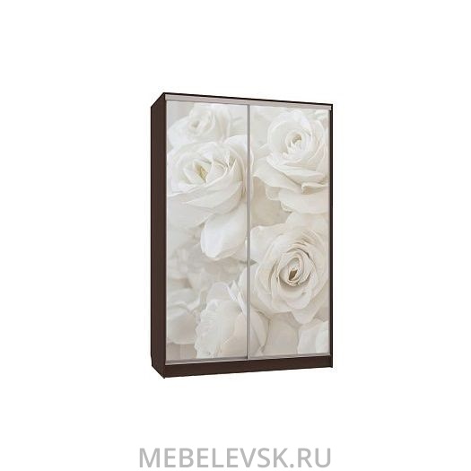 Шкаф-купе Гранд 7-600 розы