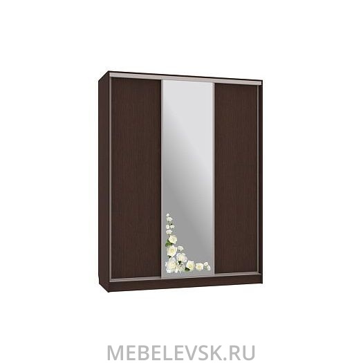Шкаф-купе Бассо 1-600 розы