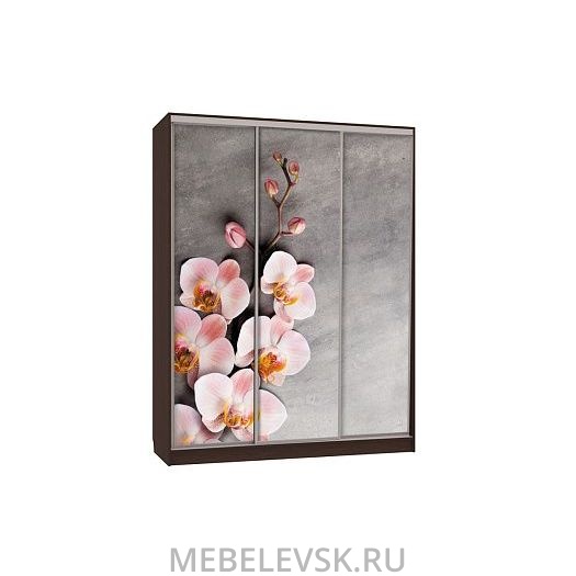 Шкаф-купе Бассо 7-600 78