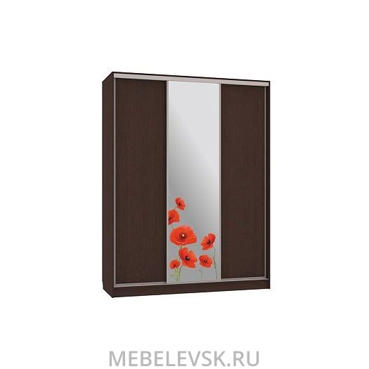 Шкаф-купе Бассо 1-600 маки