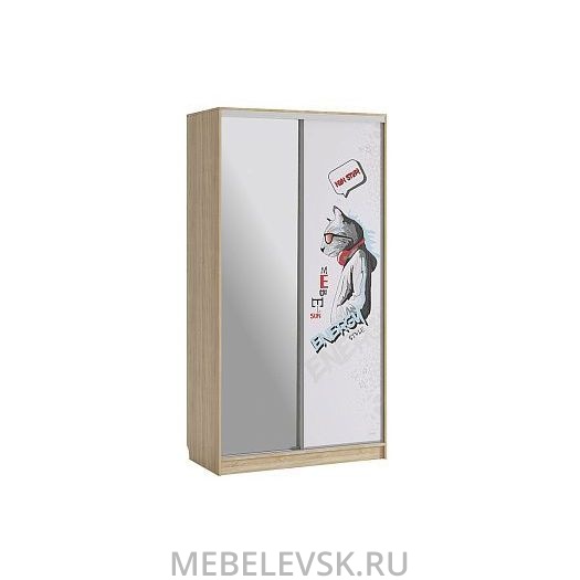 Шкаф-купе Рио 9-600 Энерджи, (1200х600х2310)