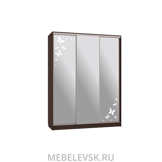 Шкаф-купе Бассо 4-600 бабочки