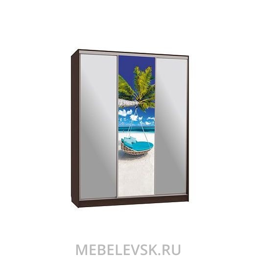 Шкаф-купе Бассо 9-600 77
