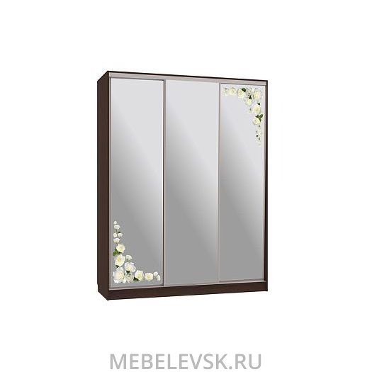Шкаф-купе Бассо 4-600 розы
