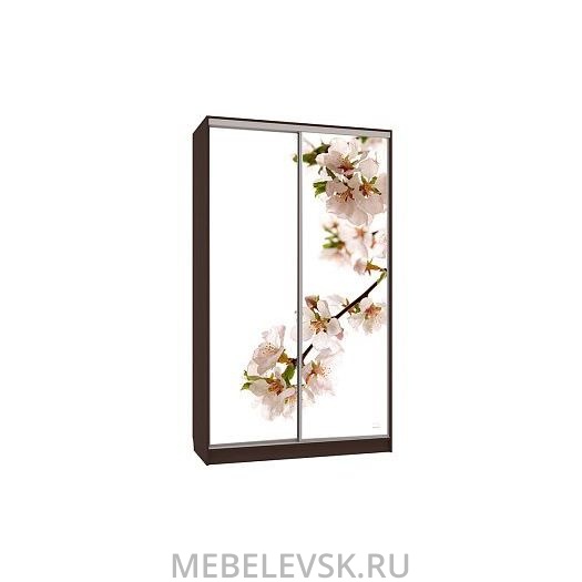 Шкаф-купе Рио 7-600 яблоня, (1200х600х2310)