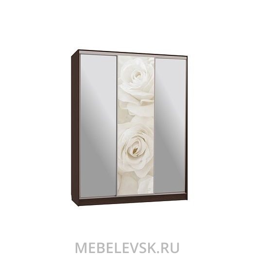 Шкаф-купе Бассо 9-600 розы