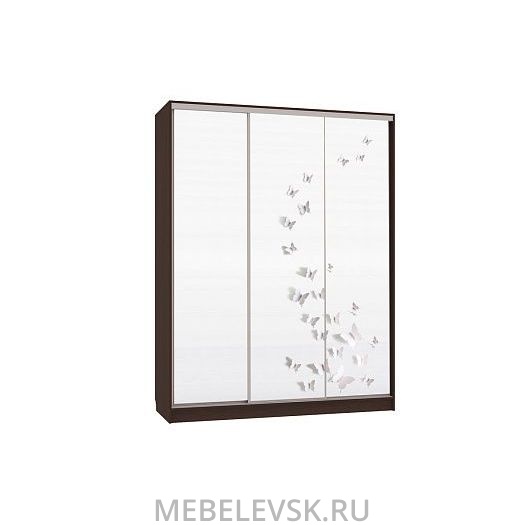 Шкаф-купе Бассо 7-600 18