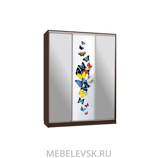 Шкаф-купе Бассо 9-600 88