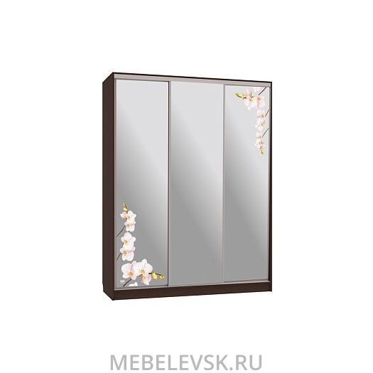 Шкаф-купе Бассо 4-600 орхидеи