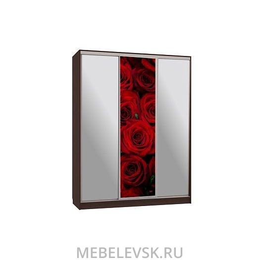 Шкаф-купе Бассо 9-600 89