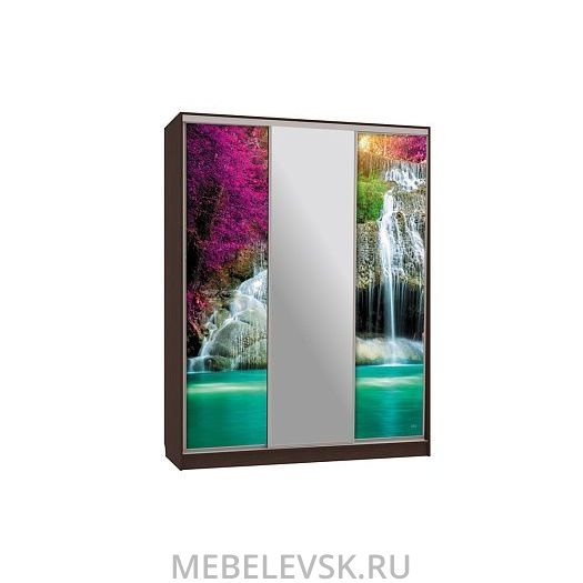 Шкаф-купе Бассо 10-600 49