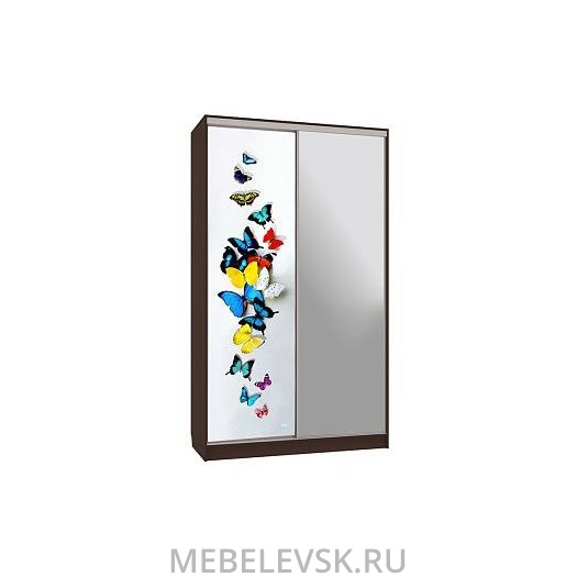 Шкаф-купе Рио 9-600 88, (1200х600х2310)