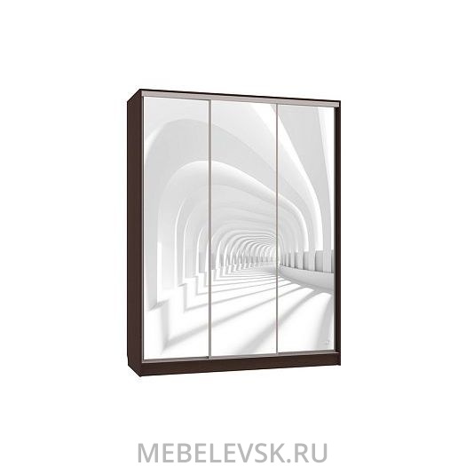 Шкаф-купе Бассо 7-600 58