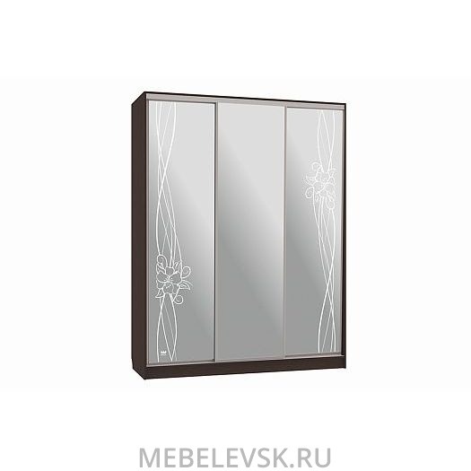 Шкаф-купе Бассо 4-600 волны 2