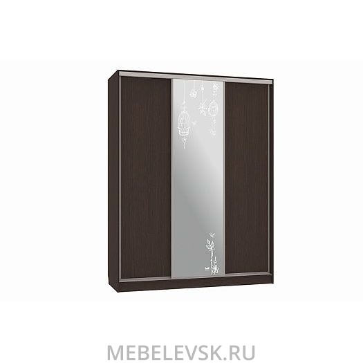 Шкаф-купе Бассо 1-600 птицы