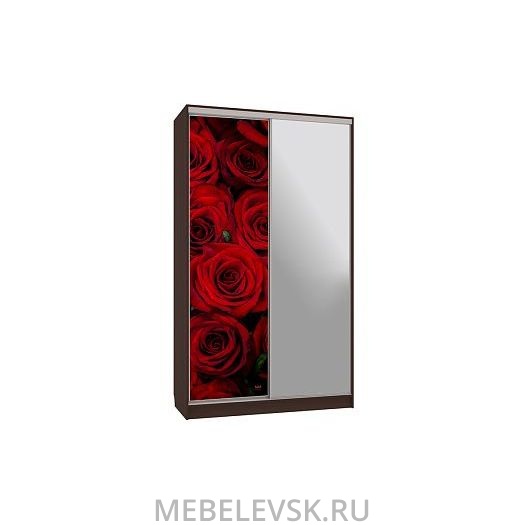 Шкаф-купе Рио 9-600 89, (1200х600х2310)