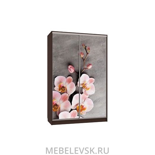 Шкаф-купе Гранд 7-600 78