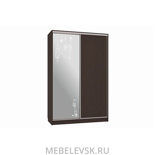 Шкаф-купе Гранд 1-600 птицы