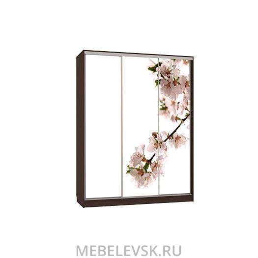 Шкаф-купе Бассо 7-600 яблоня