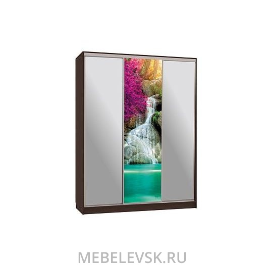 Шкаф-купе Бассо 9-600 49