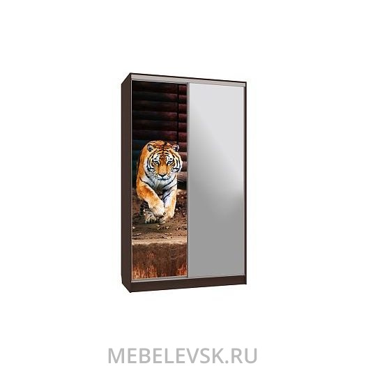 Шкаф-купе Рио 9-600 87, (1200х600х2310)