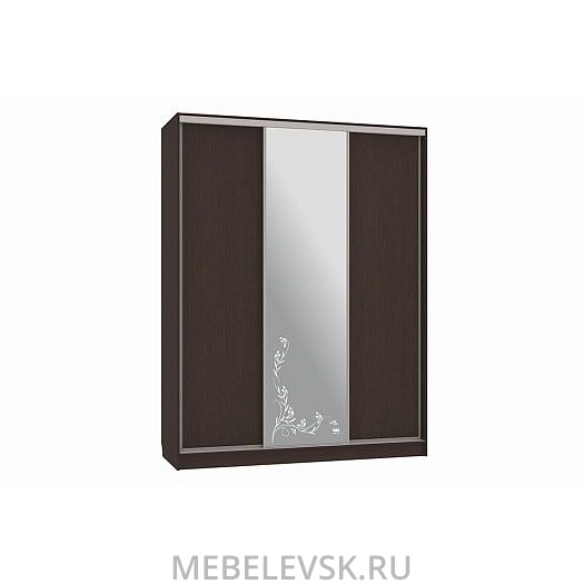 Шкаф-купе Бассо 1-600 цветы 2