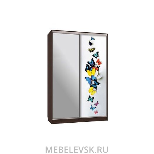 Шкаф-купе Гранд 9-600 88