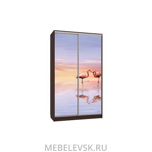 Шкаф-купе Рио 7-600 19, (1200х600х2310)