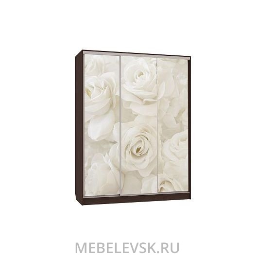 Шкаф-купе Бассо 7-600 розы