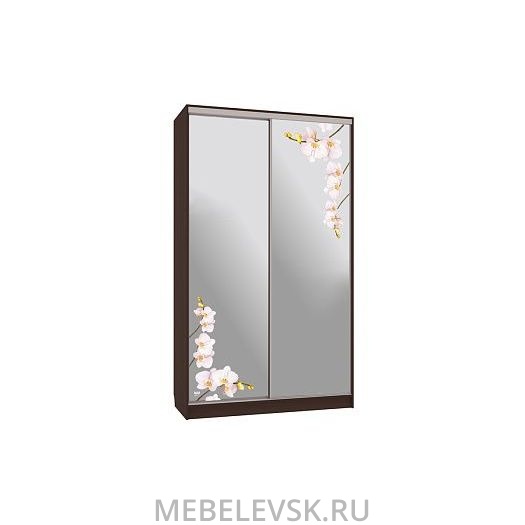 Шкаф-купе Рио 4-600 орхидеи, (1200х600х2310)