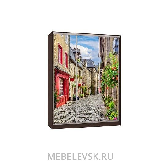 Шкаф-купе Бассо 7-600 Европа