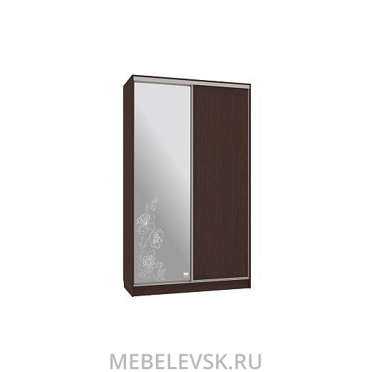 Шкаф-купе Рио 1-600 токио, (1200х600х2310)