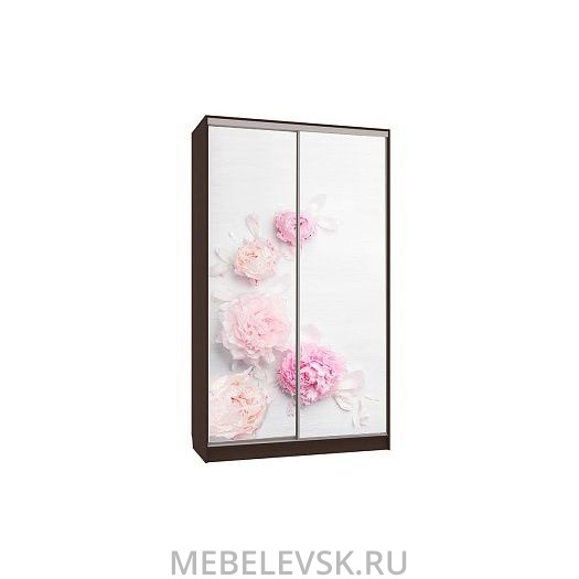 Шкаф-купе Рио 7-600 17, (1200х600х2310)