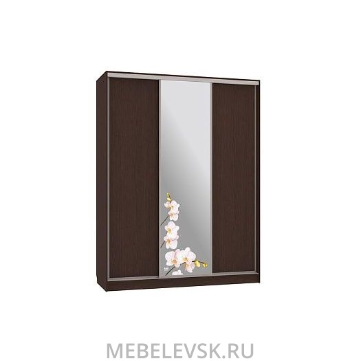 Шкаф-купе Бассо 1-600 орхидеи