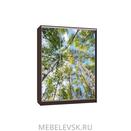 Шкаф-купе Бассо 7-600 57