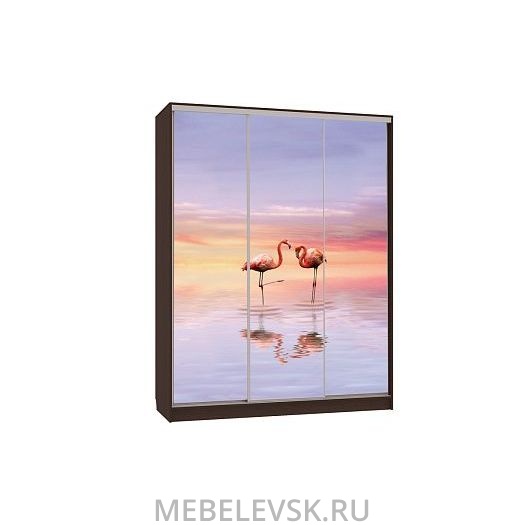 Шкаф-купе Бассо 7-600 19