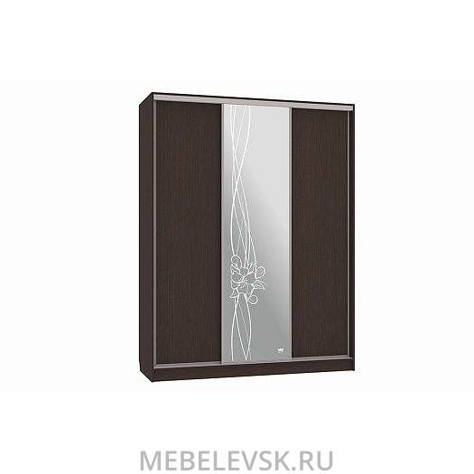 Шкаф-купе Бассо 1-600 волны 2