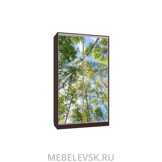 Шкаф-купе Рио 7-600 57, (1200х600х2310)