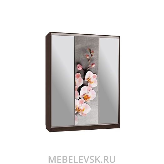 Шкаф-купе Бассо 9-600 78