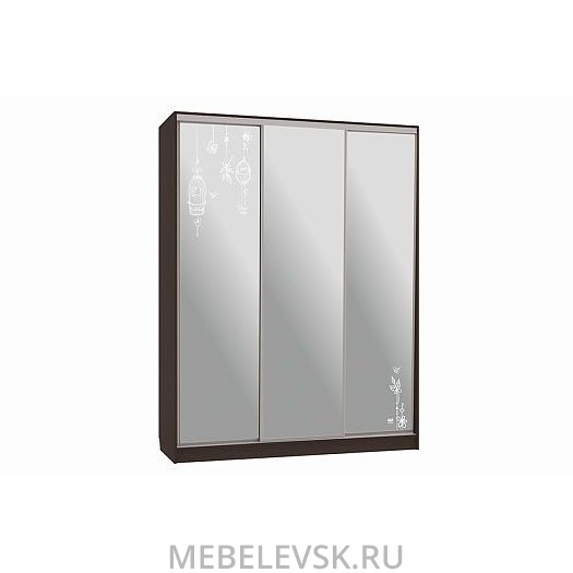 Шкаф-купе Бассо 4-600 птицы