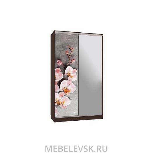 Шкаф-купе Рио 9-600 78, (1200х600х2310)
