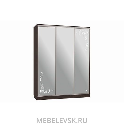 Шкаф-купе Бассо 4-600 цветы 2