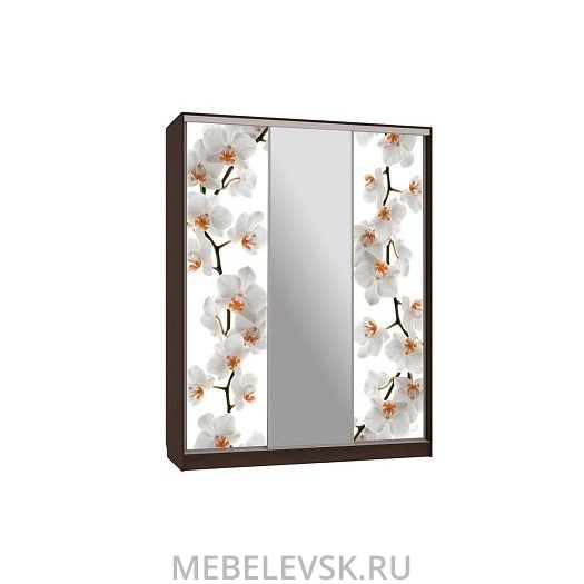 Шкаф-купе Бассо 10-600 83