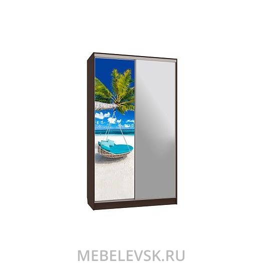 Шкаф-купе Рио 9-600 77, (120х600х2310)